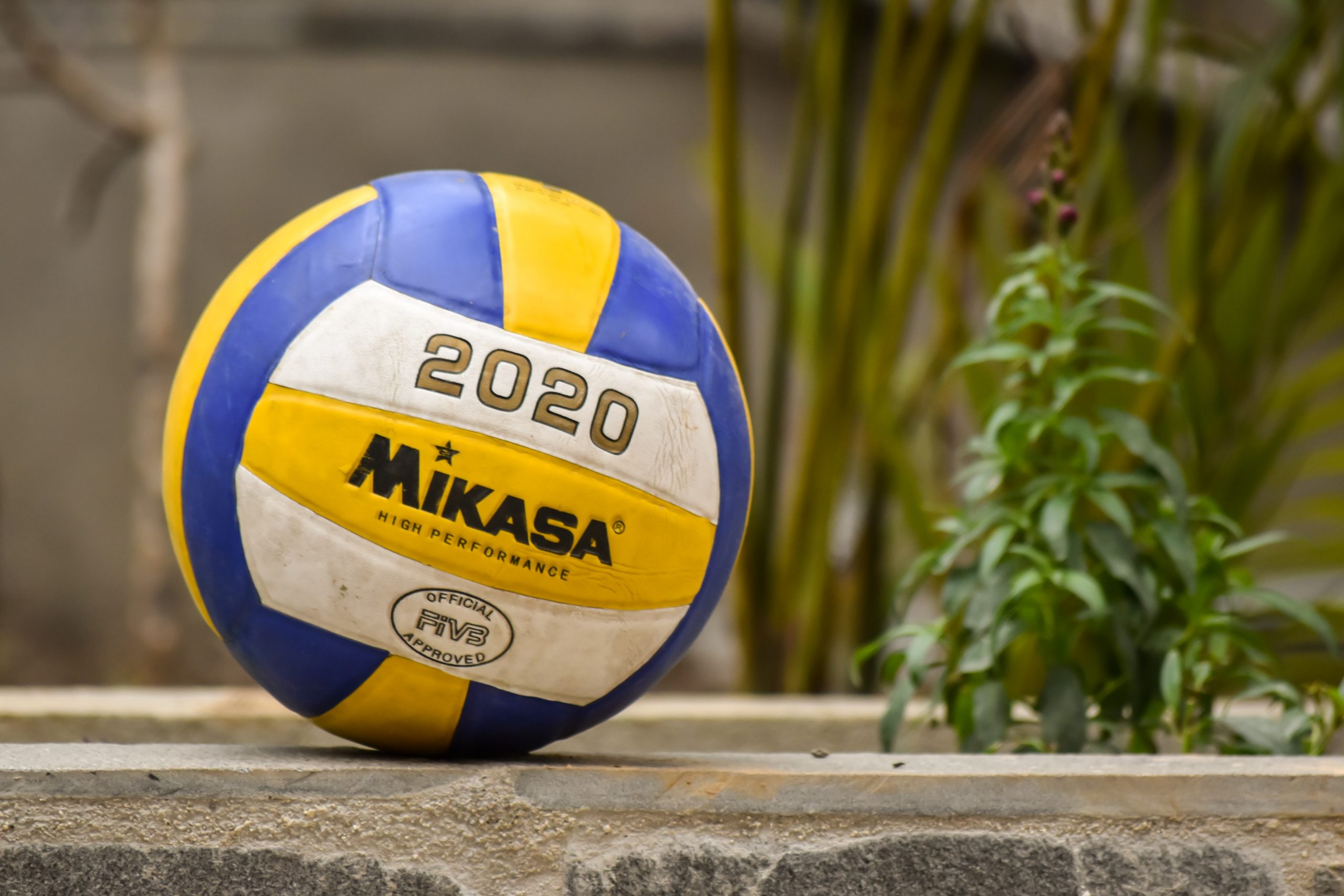 Oasi Pallavolo